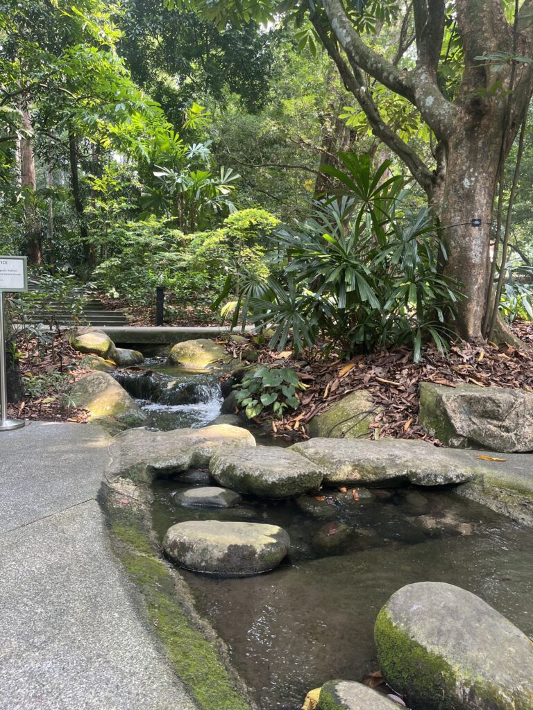 singapur