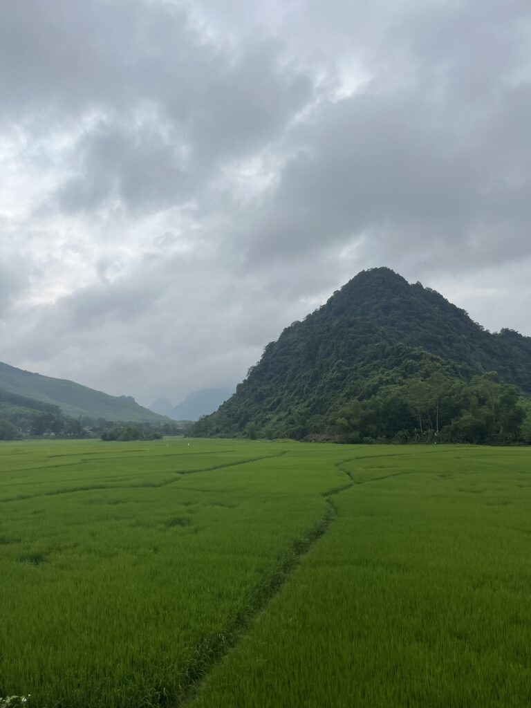 vietnam