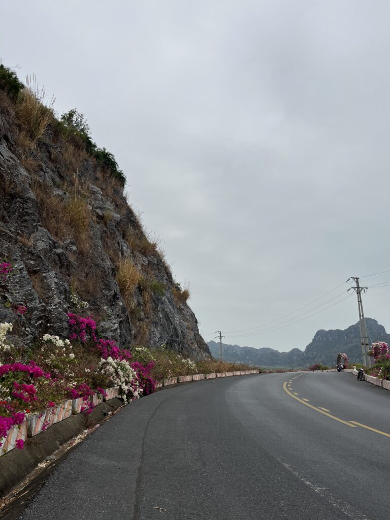 vietnam