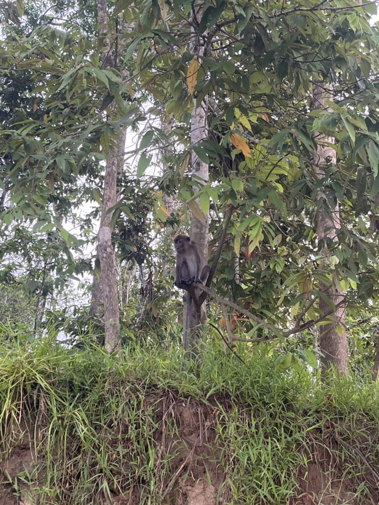 malaysia