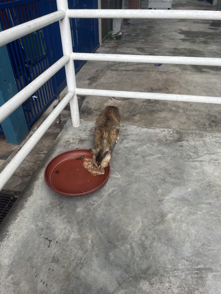 malaysia