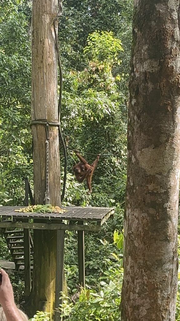 malaysia